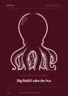 Cover of Big Bold Colouring: Under the Sea