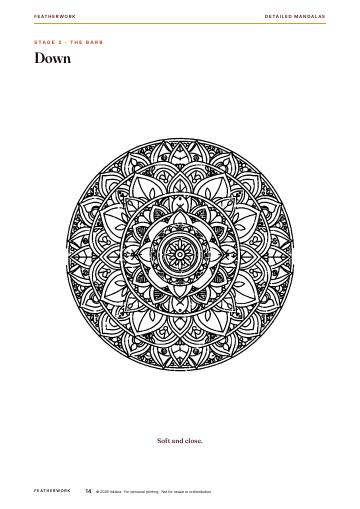 Inner page 14 of Detailed Mandalas: Featherwork